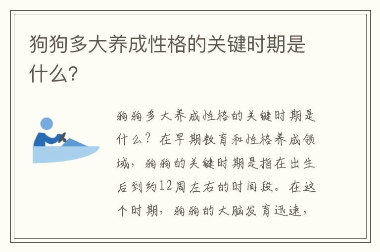 狗狗多大养成性格的关键时期是什么？