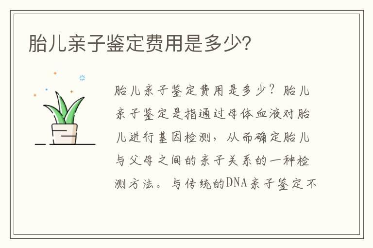 胎儿亲子鉴定费用是多少？