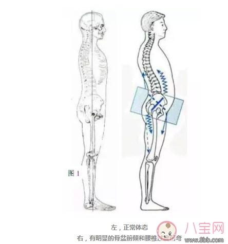 孕后如何在七夕拥有完美身材 孕后塑型这样做