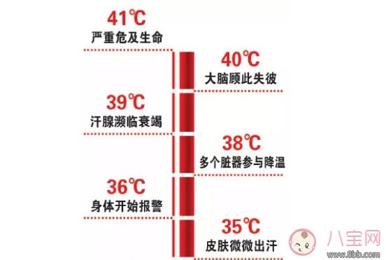 三伏天坐月子拒开空调捂出伤 为什么坐月子能捂出脑损伤