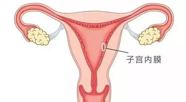 子宫内膜厚度为15mm适合移植冻胚吗？