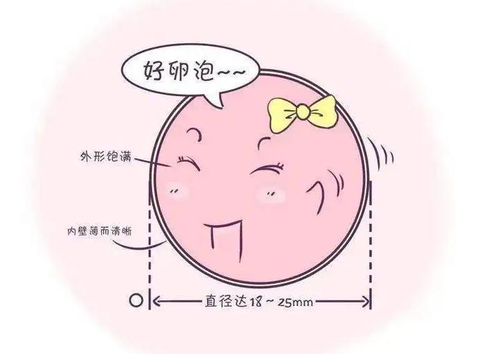 卵泡长到25mm打夜针算晚吗，有什么坏处？