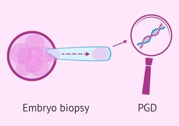 三代试管PGD检测10个囊胚能通过几个？