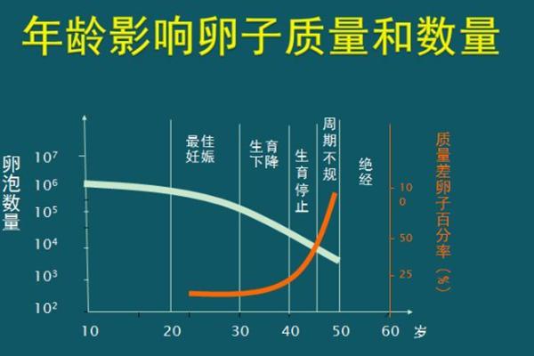 49岁高龄自卵三代试管成功率高吗?附各年龄段试管成功率表