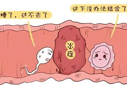 输卵管近端堵塞还有可以治疗的方法吗？