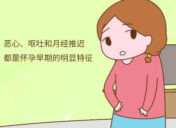 刚开始怀孕的女性身体会出现哪些现象？