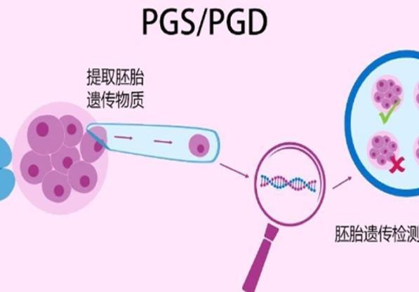 厦门206医院做三代试管，要花多少钱？