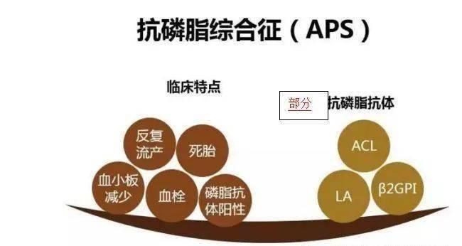 抗磷脂抗体阳性去泰国做试管流程是什么？