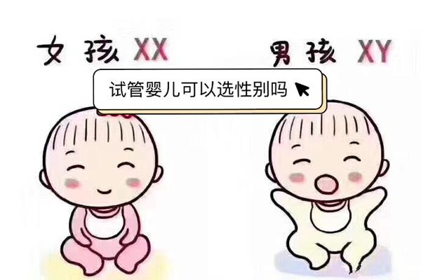 试管能挑男女吗？