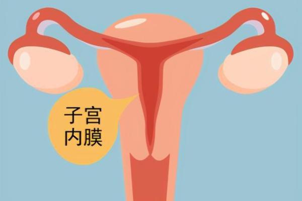 子宫内膜薄可以做试管婴儿吗？