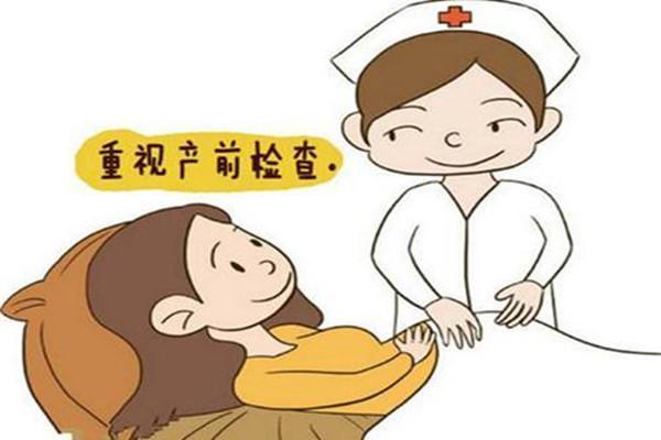 试管婴儿产检需花费多少人民币？