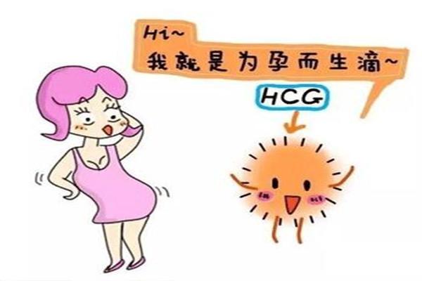 试管移植15天HCG值高于正常范围会有什么影响？