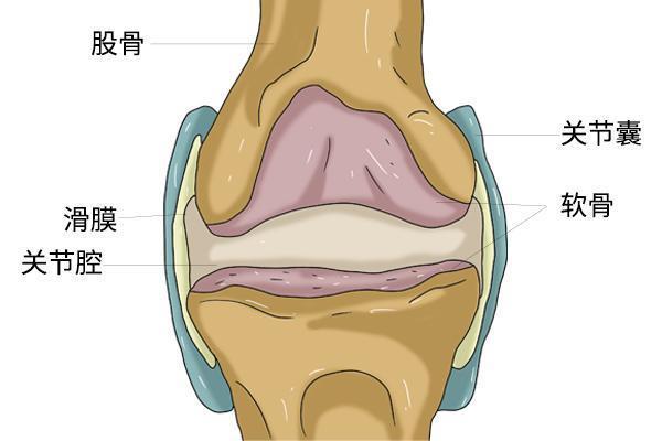 膝盖骨增生有哪些症状？有什么治疗方法？