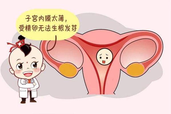 子宫内膜太薄，对试管婴儿成功率有影响吗？