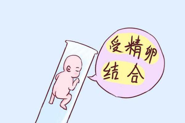 郑州哪家医院做试管婴儿好？成功率有多高？