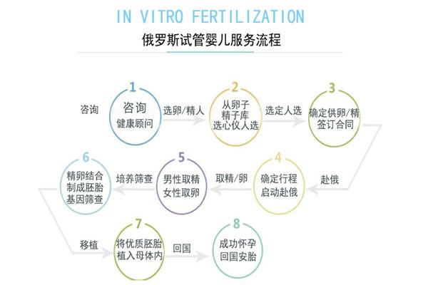 在俄罗斯做试管婴儿需要花多少钱？