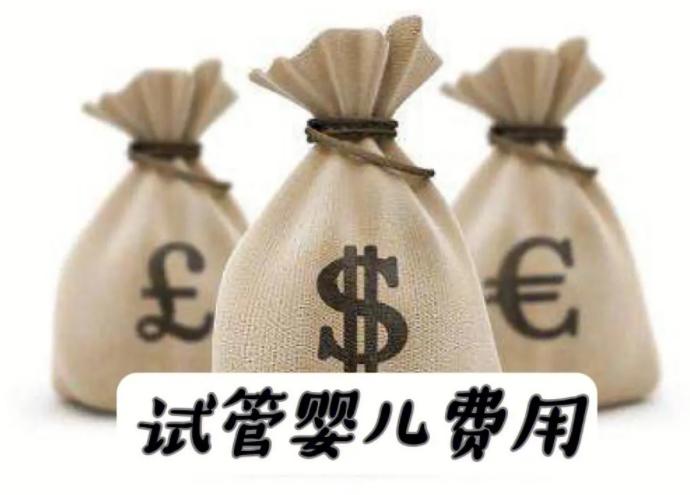 黑龙江省试管婴儿移植费何时纳入医保？