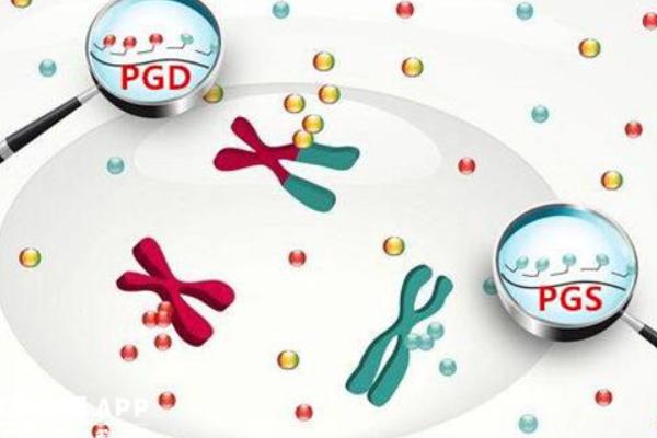 三代试管囊胚pgs筛查的5对染色体还是23对染色体？