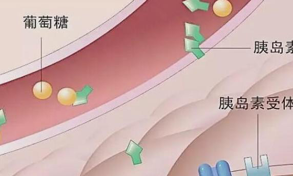 胰岛素抵抗会影响做三代试管的成功率吗？