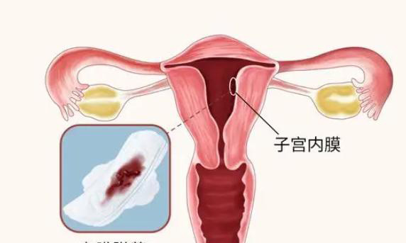 月经后内膜11cm是什么原因？