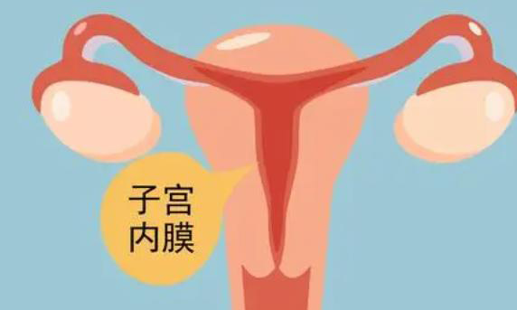 30岁的女性月经期自己体内膜厚12mm在正常范围吗？