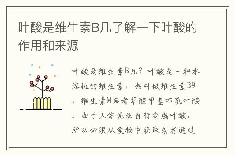 叶酸是维生素B几了解一下叶酸的作用和来源