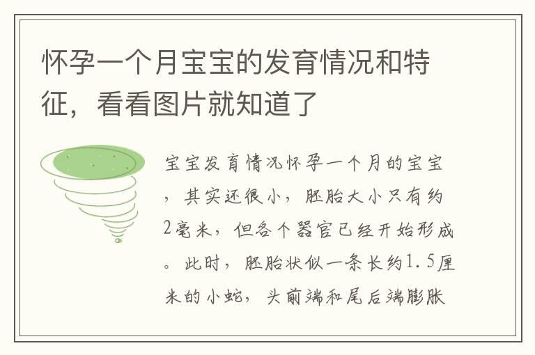 怀孕一个月宝宝的发育情况和特征，看看图片就知道了