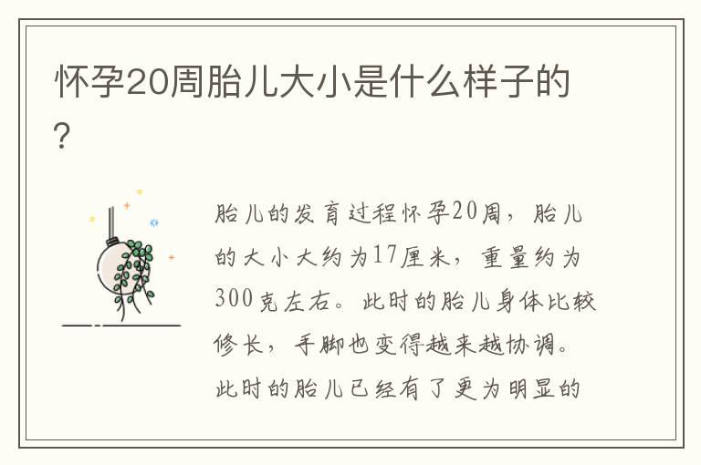 怀孕20周胎儿大小是什么样子的？