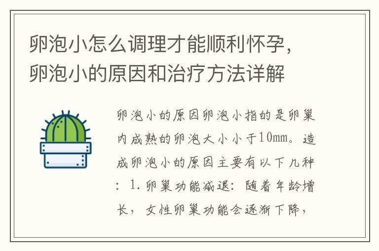 卵泡小怎么调理才能顺利怀孕，卵泡小的原因和治疗方法详解