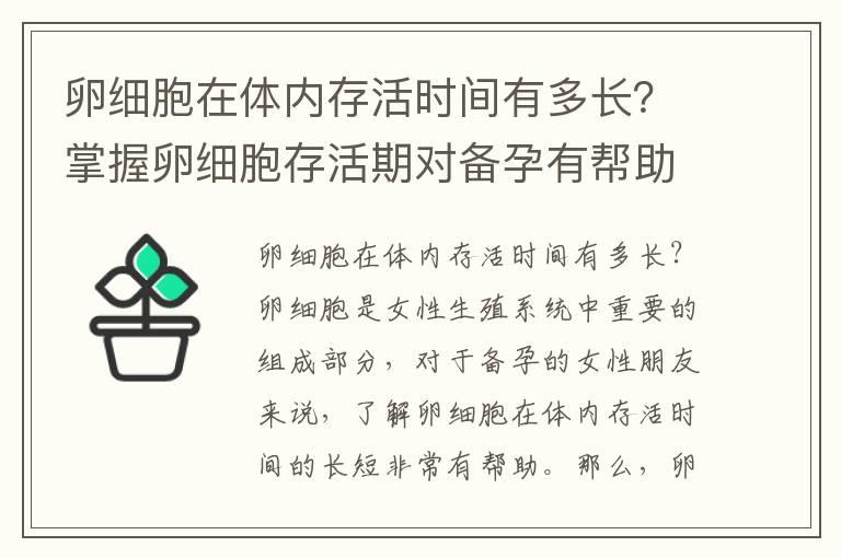 卵细胞在体内存活时间有多长？掌握卵细胞存活期对备孕有帮助