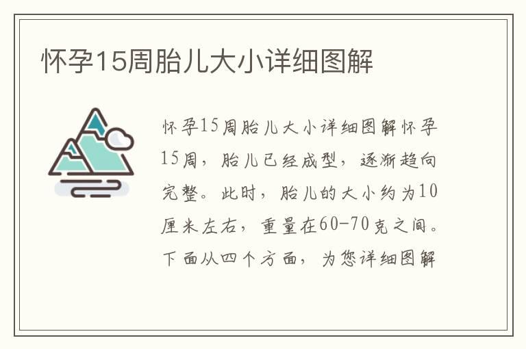 怀孕15周胎儿大小详细图解