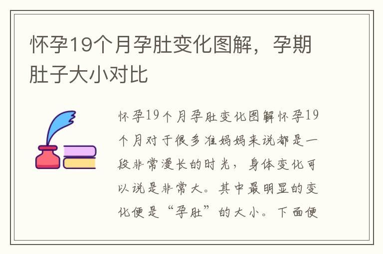 怀孕19个月孕肚变化图解，孕期肚子大小对比