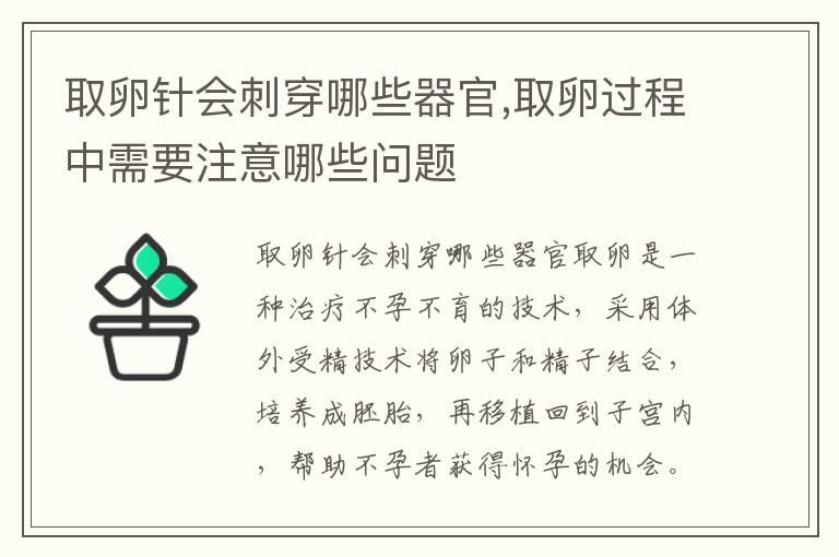 取卵针会刺穿哪些器官,取卵过程中需要注意哪些问题