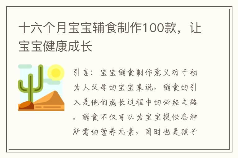 十六个月宝宝辅食制作100款，让宝宝健康成长