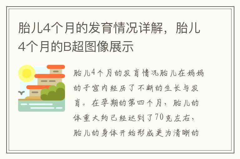 胎儿4个月的发育情况详解，胎儿4个月的B超图像展示