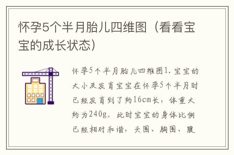 怀孕5个半月胎儿四维图（看看宝宝的成长状态）