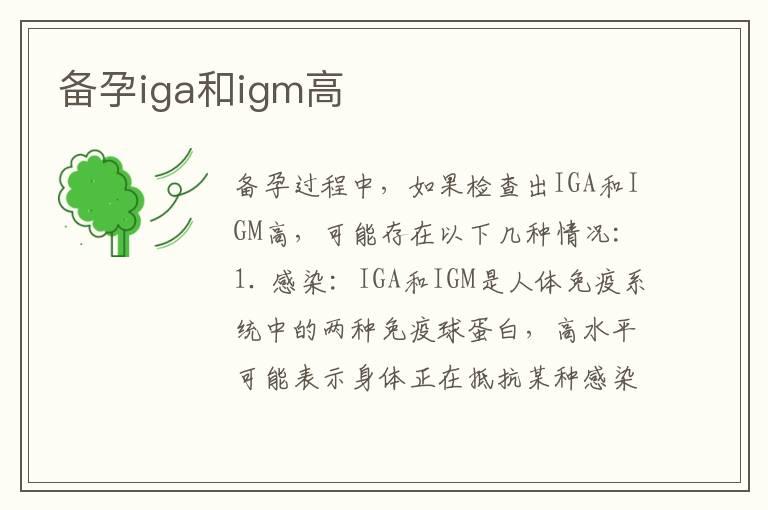 备孕iga和igm高