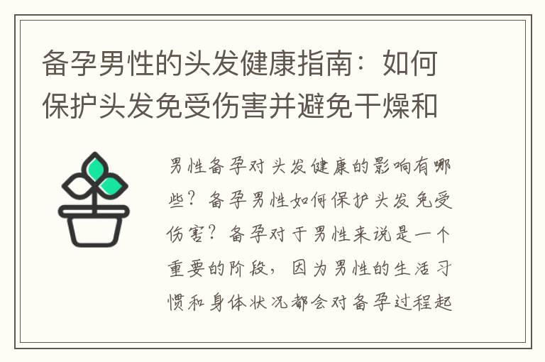 备孕男性的头发健康指南：如何保护头发免受伤害并避免干燥和毛躁？