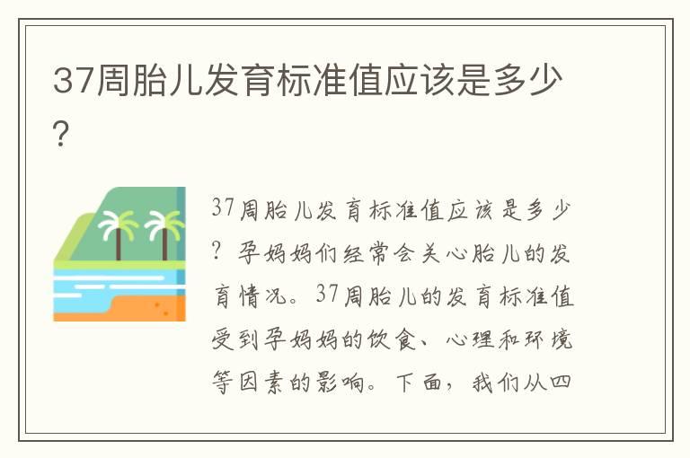 37周胎儿发育标准值应该是多少？