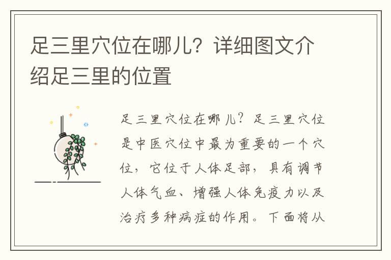 足三里穴位在哪儿？详细图文介绍足三里的位置