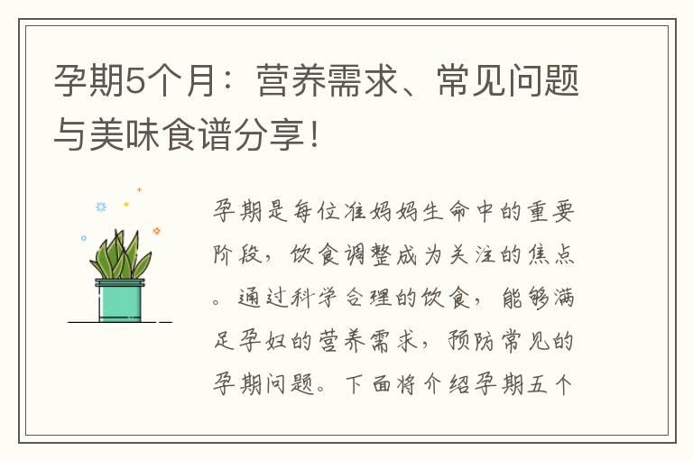 孕期5个月：营养需求、常见问题与美味食谱分享！