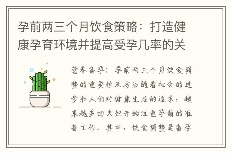 孕前两三个月饮食策略：打造健康孕育环境并提高受孕几率的关键饮食建议