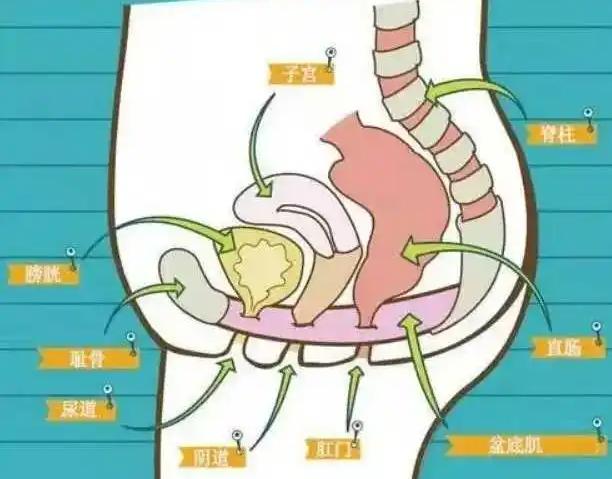 漏斗骨盆行骨盆测量检查时正确的方法是什么?