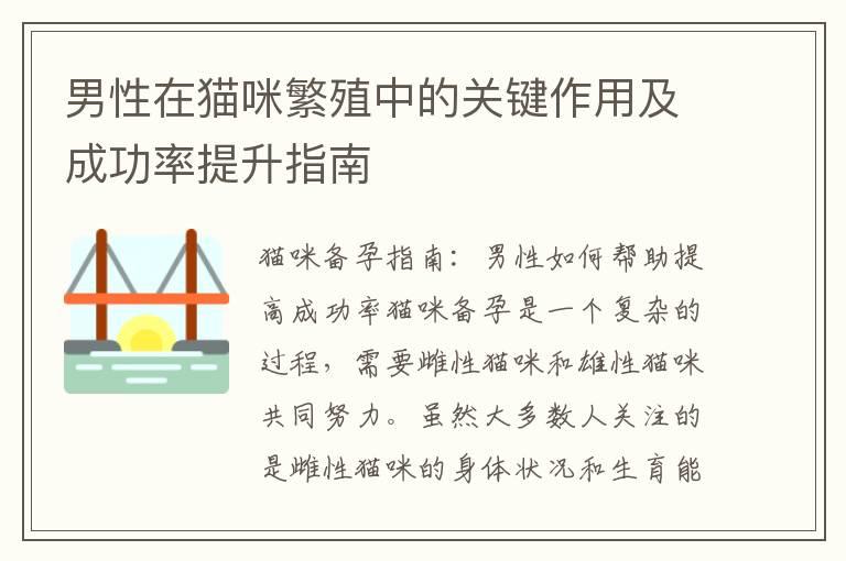 男性在猫咪繁殖中的关键作用及成功率提升指南