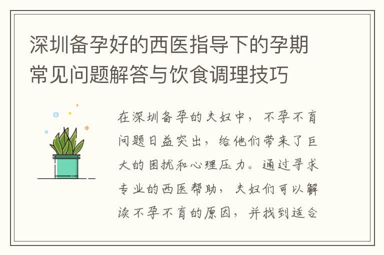 深圳备孕好的西医指导下的孕期常见问题解答与饮食调理技巧