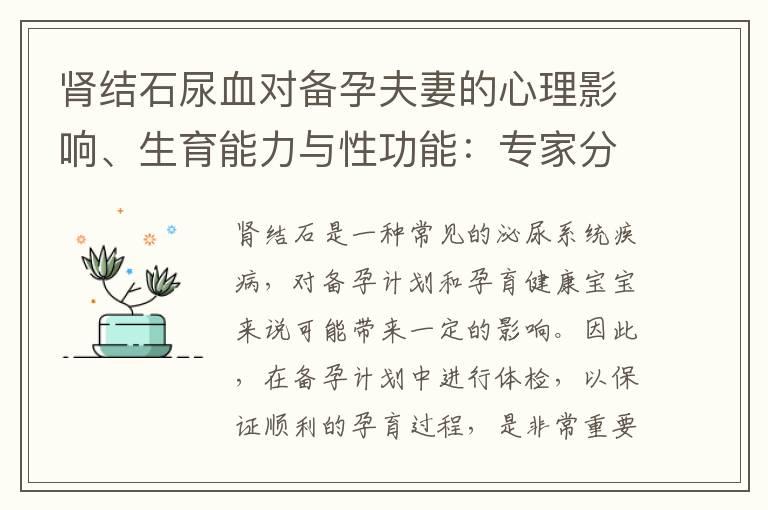 肾结石尿血对备孕夫妻的心理影响、生育能力与性功能：专家分享及应对策略