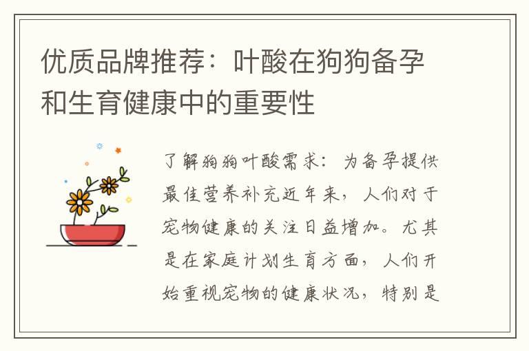 优质品牌推荐：叶酸在狗狗备孕和生育健康中的重要性