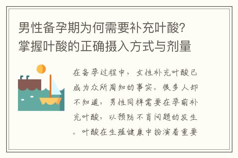 男性备孕期为何需要补充叶酸？掌握叶酸的正确摄入方式与剂量以及如何选择合适的叶酸补充品！