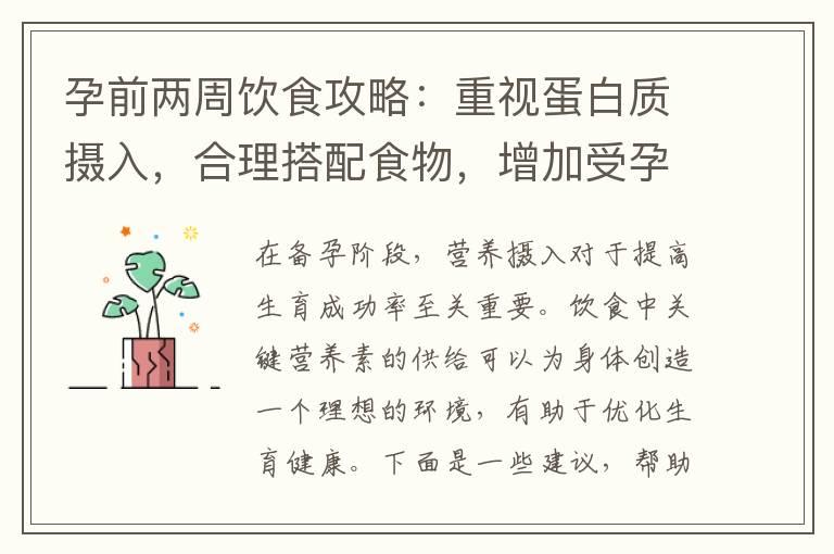 孕前两周饮食攻略：重视蛋白质摄入，合理搭配食物，增加受孕机会并优化生殖系统功能