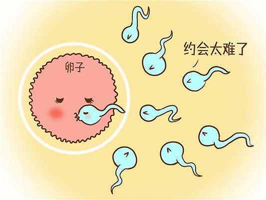 2022九江试管婴儿医院费用参考，比较新助孕成功率公布